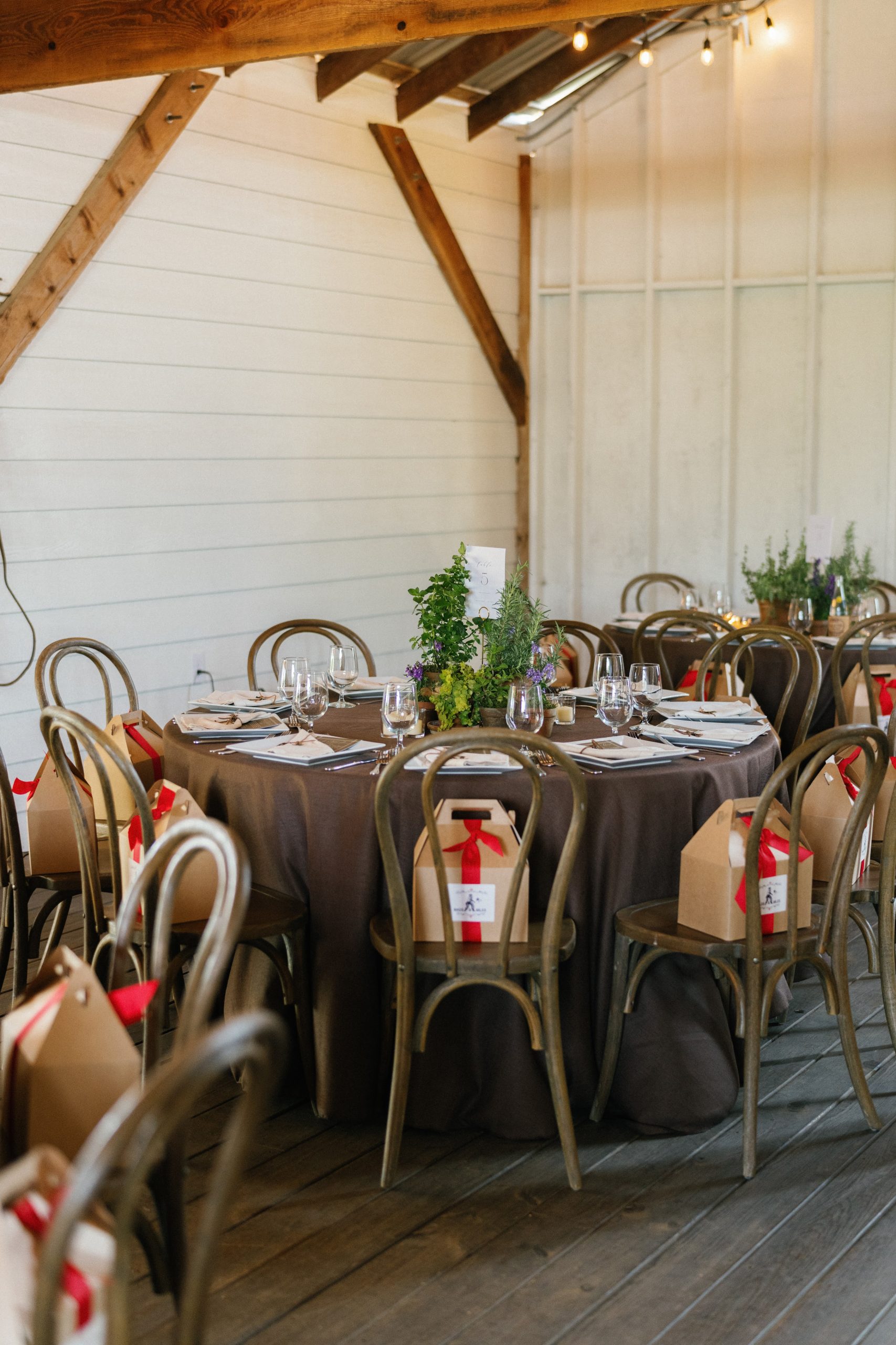 Ashley Medrano Photography